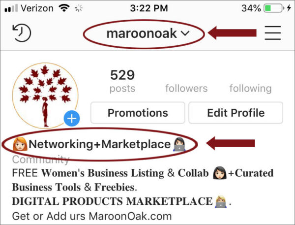 How to succeed at instagram for business - Have a keyword rich Instagram Bio