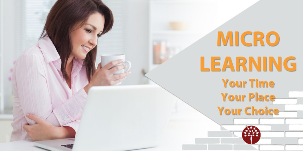 Micro Learning - Your Time, Your Place, Your Choice
