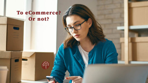 Starting an eCommerce business? Answer these 6 questions first